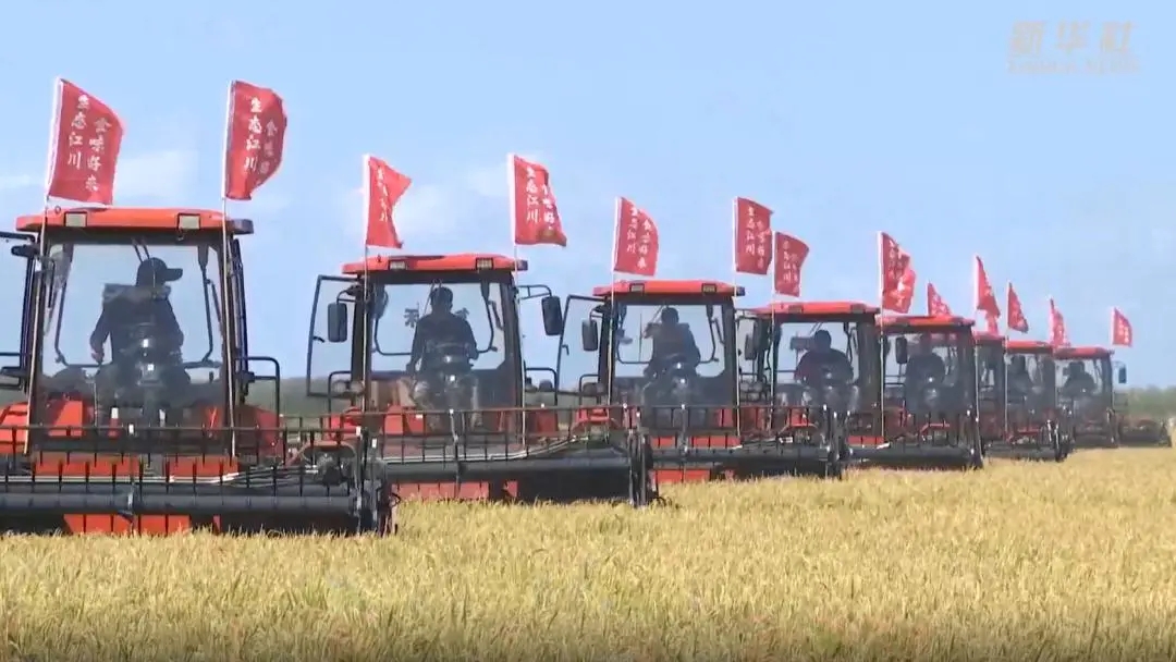 1633912629625821.jpg 01.webp.jpg