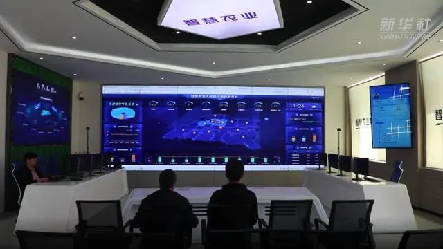 1633912663200463.jpg 02.webp.jpg