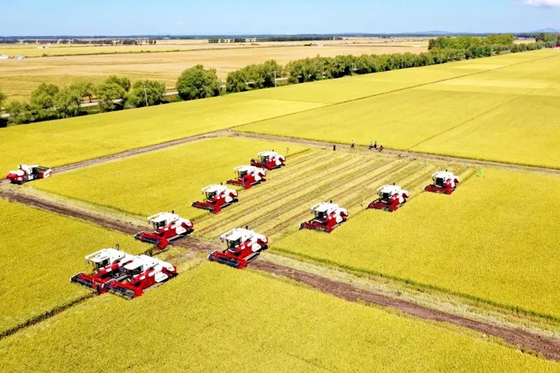 1635241203671056.jpg 1635241203671056.jpg