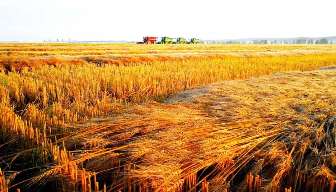 從聯合到融合 墾地一體書寫振興故事