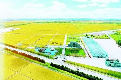 筑牢大糧倉 打造大糧商