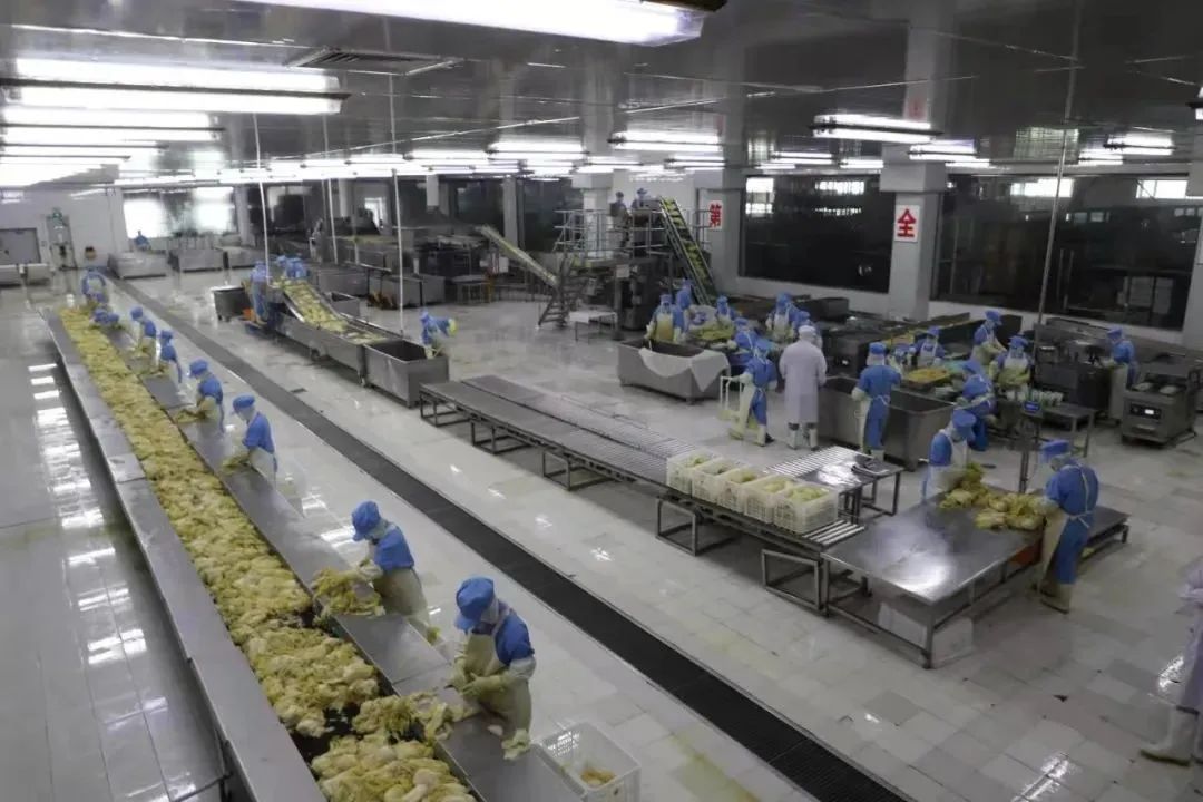 北大荒親民酸菜，啥時候你都可以放心吃