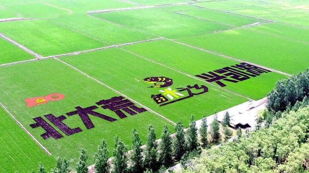 北大荒集團步入農業數字化新時代