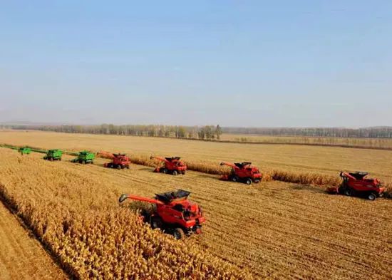 在這里，墾荒精神代代相傳