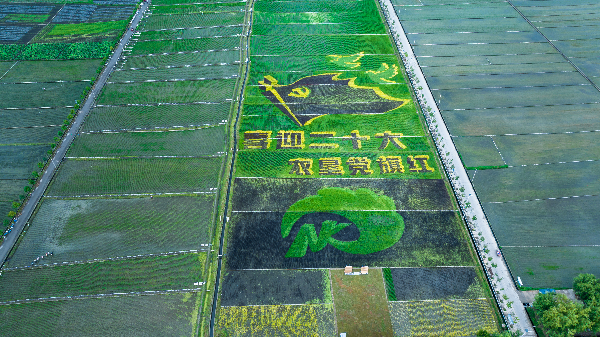 1660642454162181.png 640.png