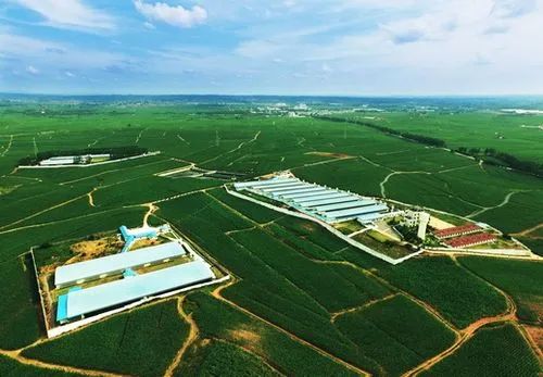 廣西農墾：貫徹落實新發展理念 打造現代一流食品企業