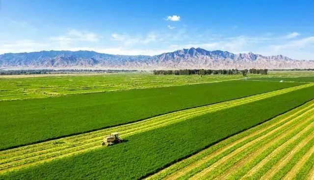 發揮農墾優勢　打造體系完備的“農業國家隊”