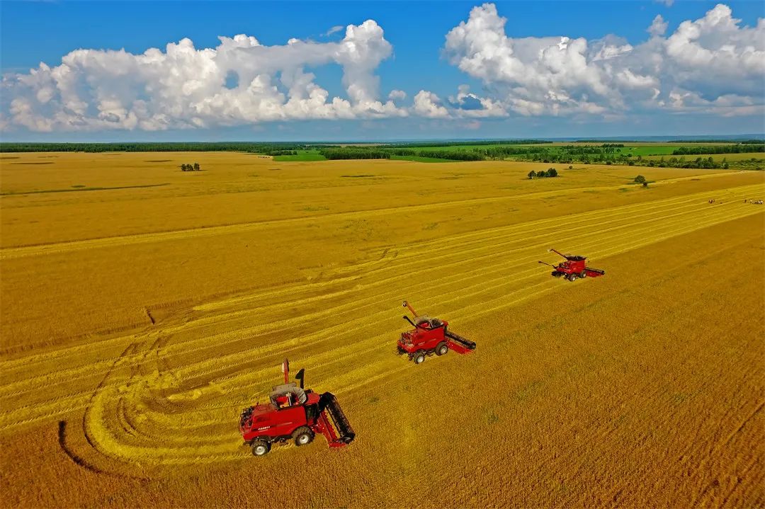 為加快建設農業強省提供“北大荒解決方案”