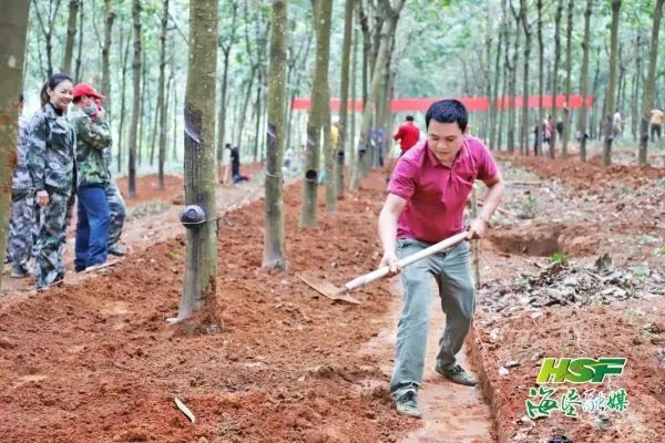 春時正好，海墾“以農為本”建設忙