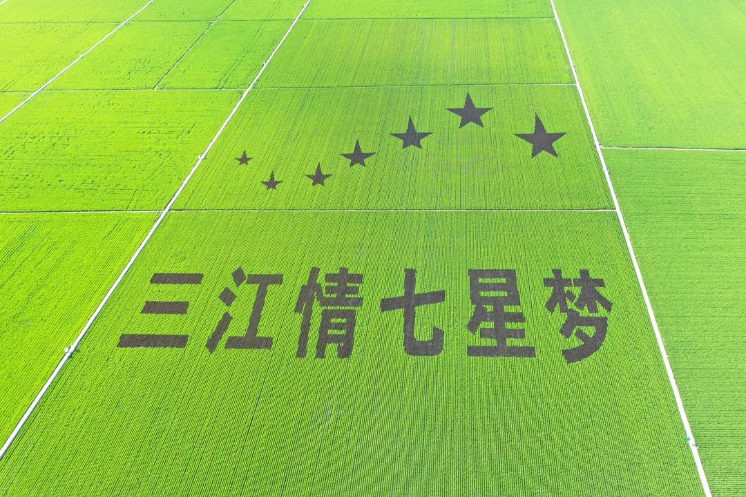 北大荒：打造“拴心留人”的農(nóng)科人才高地