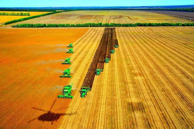 北大荒農(nóng)墾集團(tuán)：面積穩(wěn)定在1378萬(wàn)畝以上