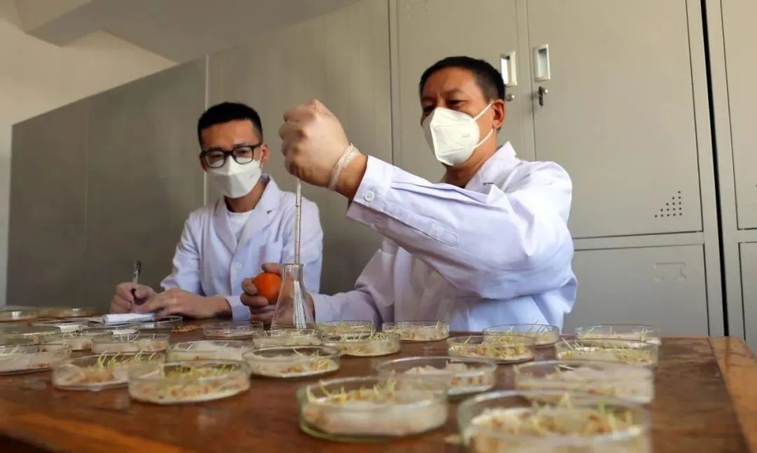 1682342575749867.jpg 1682342575749867.jpg