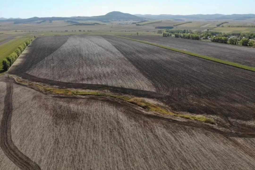 1684244036126066.jpg 640.jpg