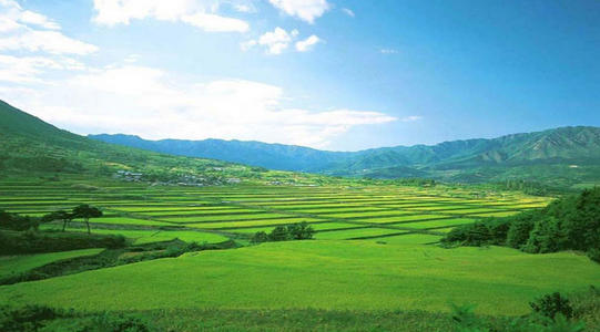 中國(guó)農(nóng)墾形象宣傳片