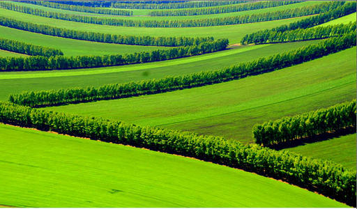 優質健康源——安食農墾優品直供介紹?