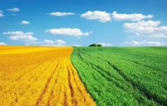 農業農村部2021年1號文件發布