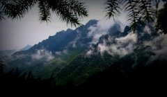 農墾情懷│大山苗圃地里的燈光