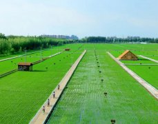 我國農墾企業資產總額超1萬億元