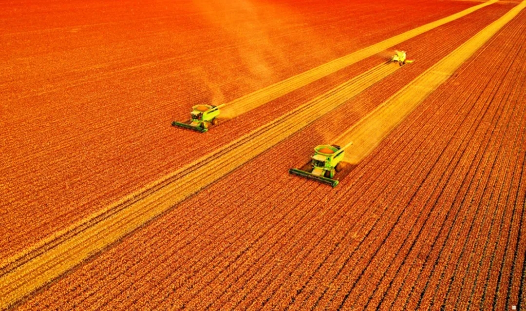 安食農墾優品直供