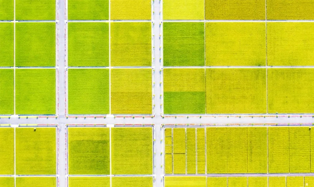 安食農墾優品直供