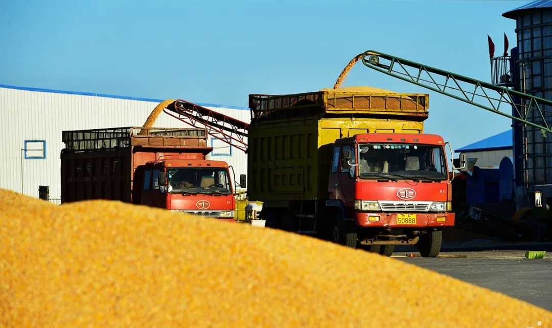 安食農墾優品直供